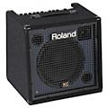 Roland KCW-1 200W Keyboard Subwoofer