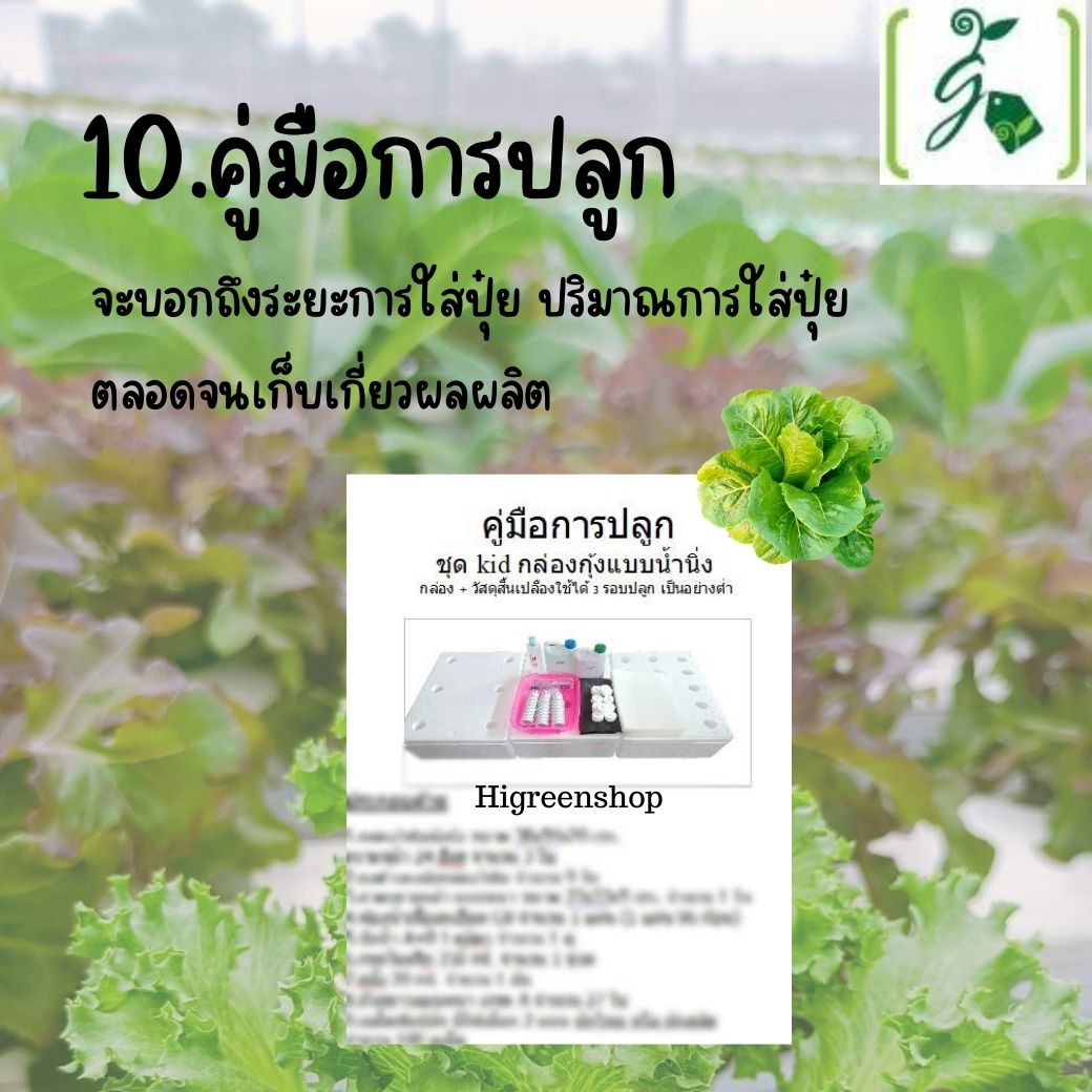 ชุด kid กล่องโฟมน้ำนิ่ง กล่องกุ้ง