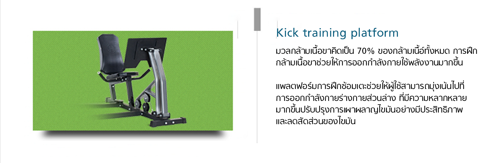 ชุดยิม Horizon Multi-station TORUS 5