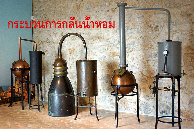 การกลั่นน้ำหอม เพื่อช่วยกำจัดกลิ่นตัว