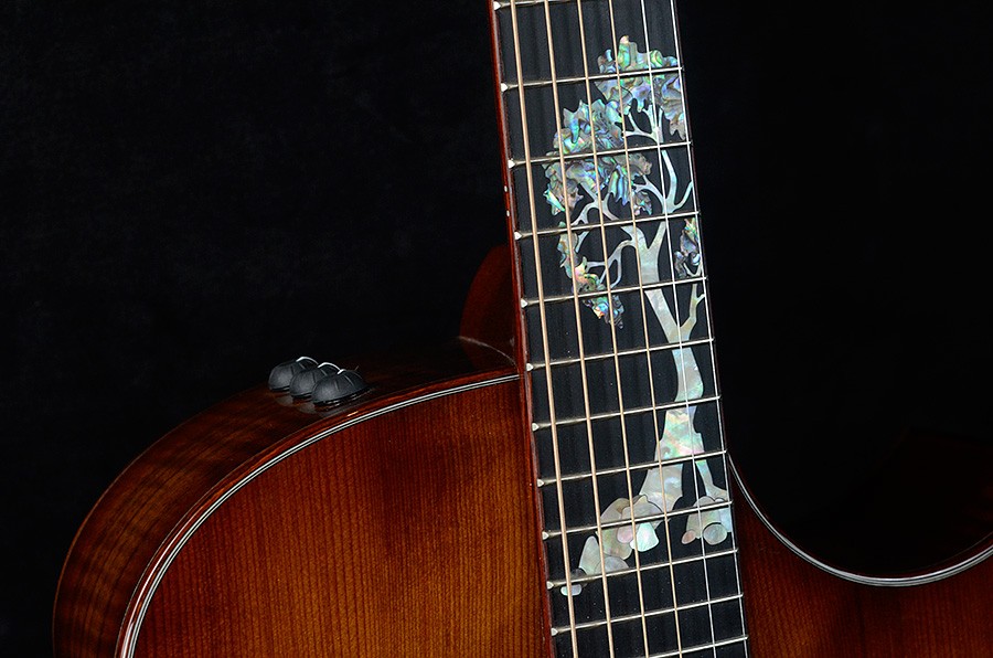 Taylor Custom GS - BTO#4769