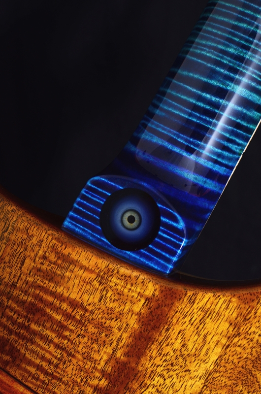 PRS Private Stock Custom 24 Walking Zombie #2