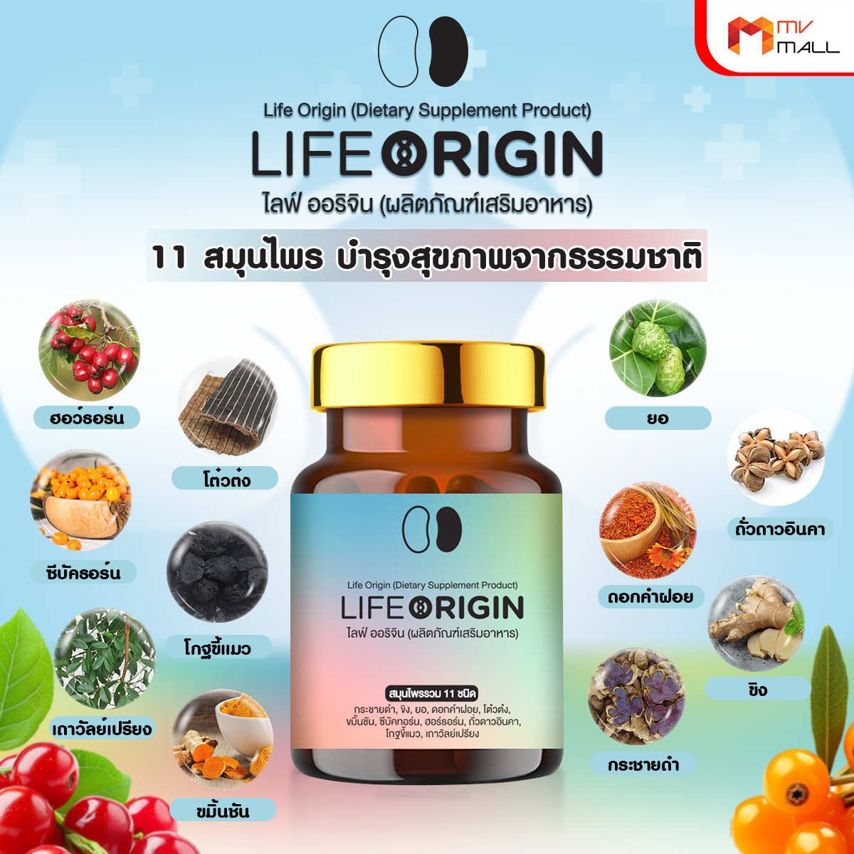ไลฟ์ ออริจิ้น (Life Origin) สมุนไพรบำรุงไต บำรุงหัวใจ บำรุงเลือด 3 ขวด พร้อมของแถม