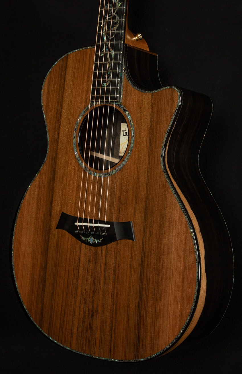 Taylor PS14ce Wildwood and Steel Prototype No.1109267117