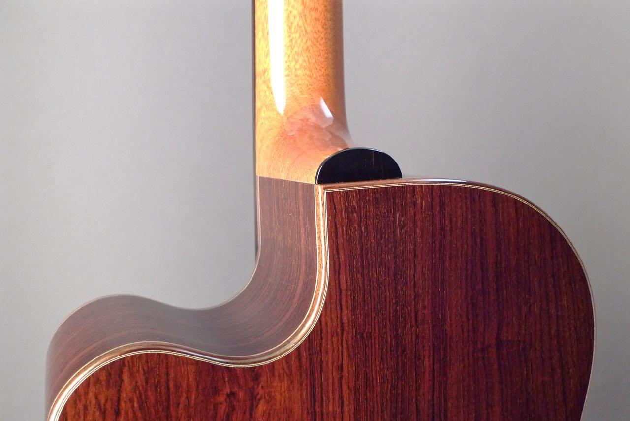 Manzer Dehlicaster - Acoustic Guitar