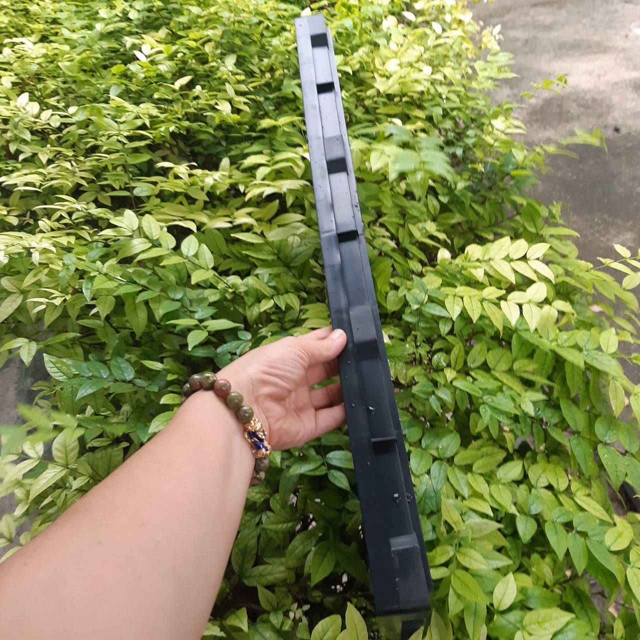 ถาดเพาะต้นอ่อนทานตะวันแบบ มีรู จำนวน 2 ถาด