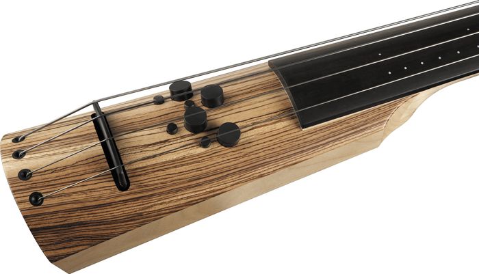 NS Design CR Series CR-4M Electric Upright Double Bass