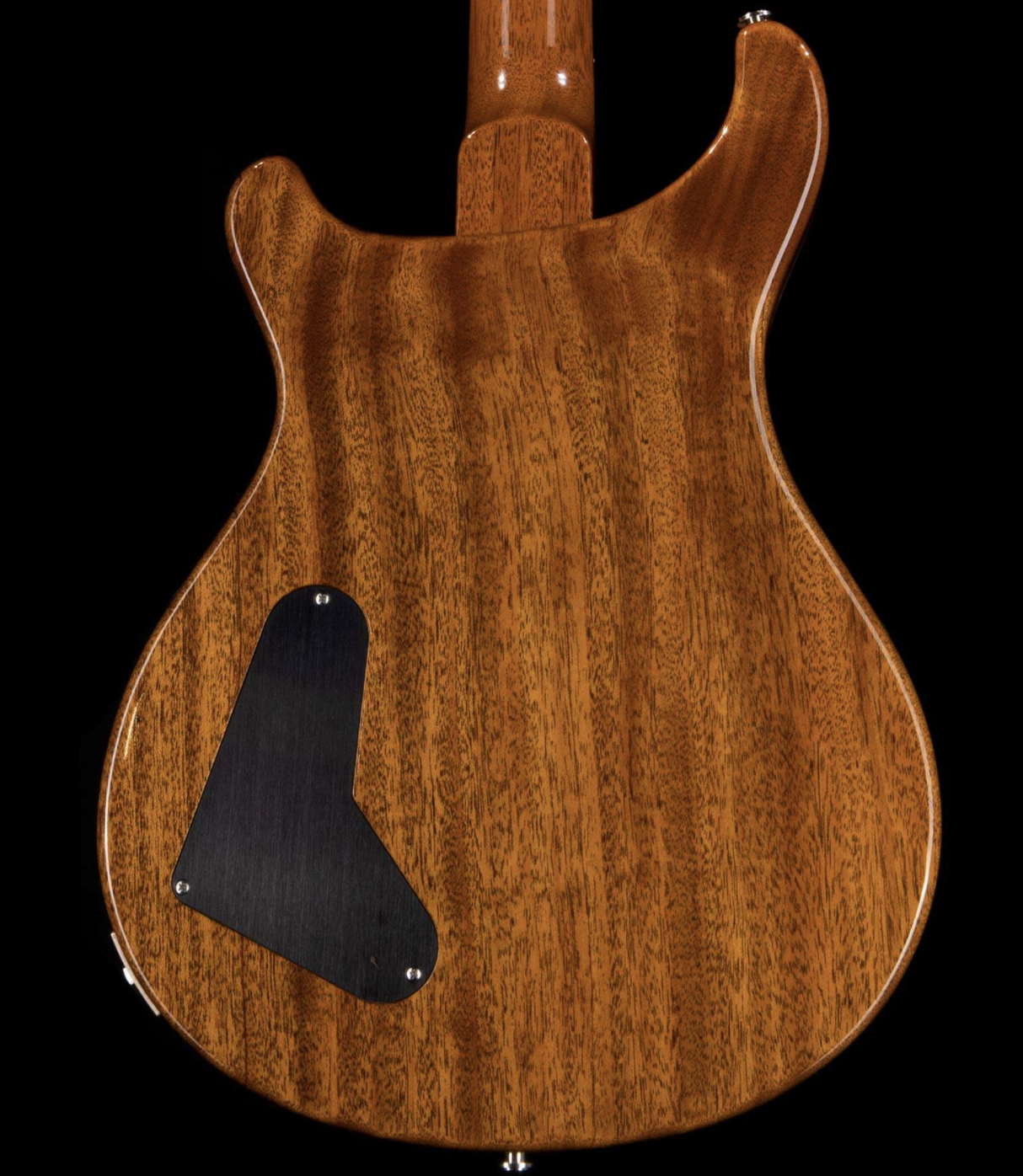 PRS Private Stock Paul’s Guitar African Blackwood Board Electric Rainforest Smoked Burst