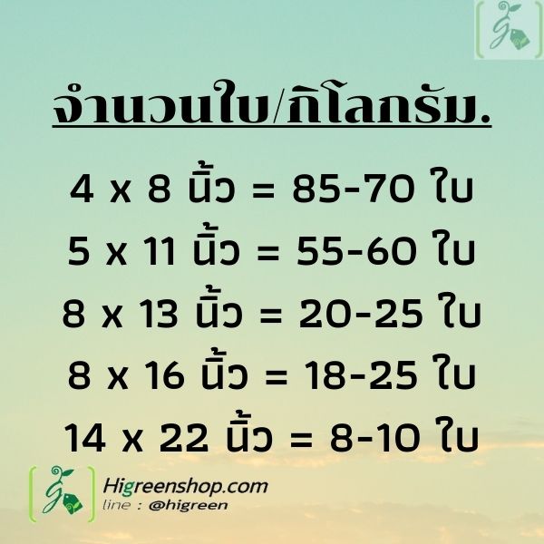 ถุงเพาะชำสีขาว ขนาด 8x13 นิ้ว 1กก. ไม่เจาะรู