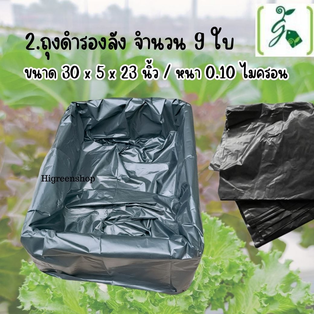 ชุด kid กล่องโฟมน้ำนิ่ง กล่องกุ้ง