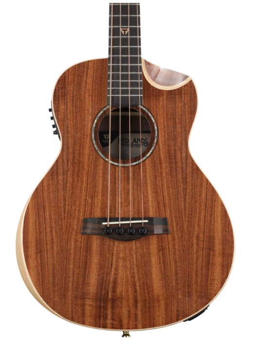 Traveler Guitar Redlands Concert Acoustic-Electric Bass