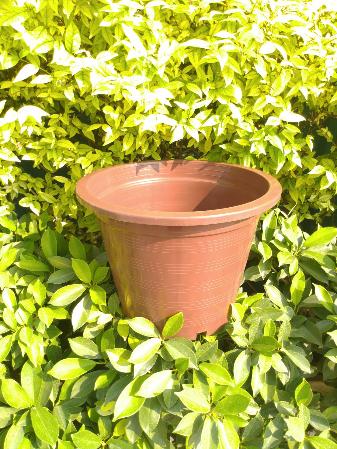 กระถางกลม 12 นิ้ว 1 ใบ (เลือกสีได้)