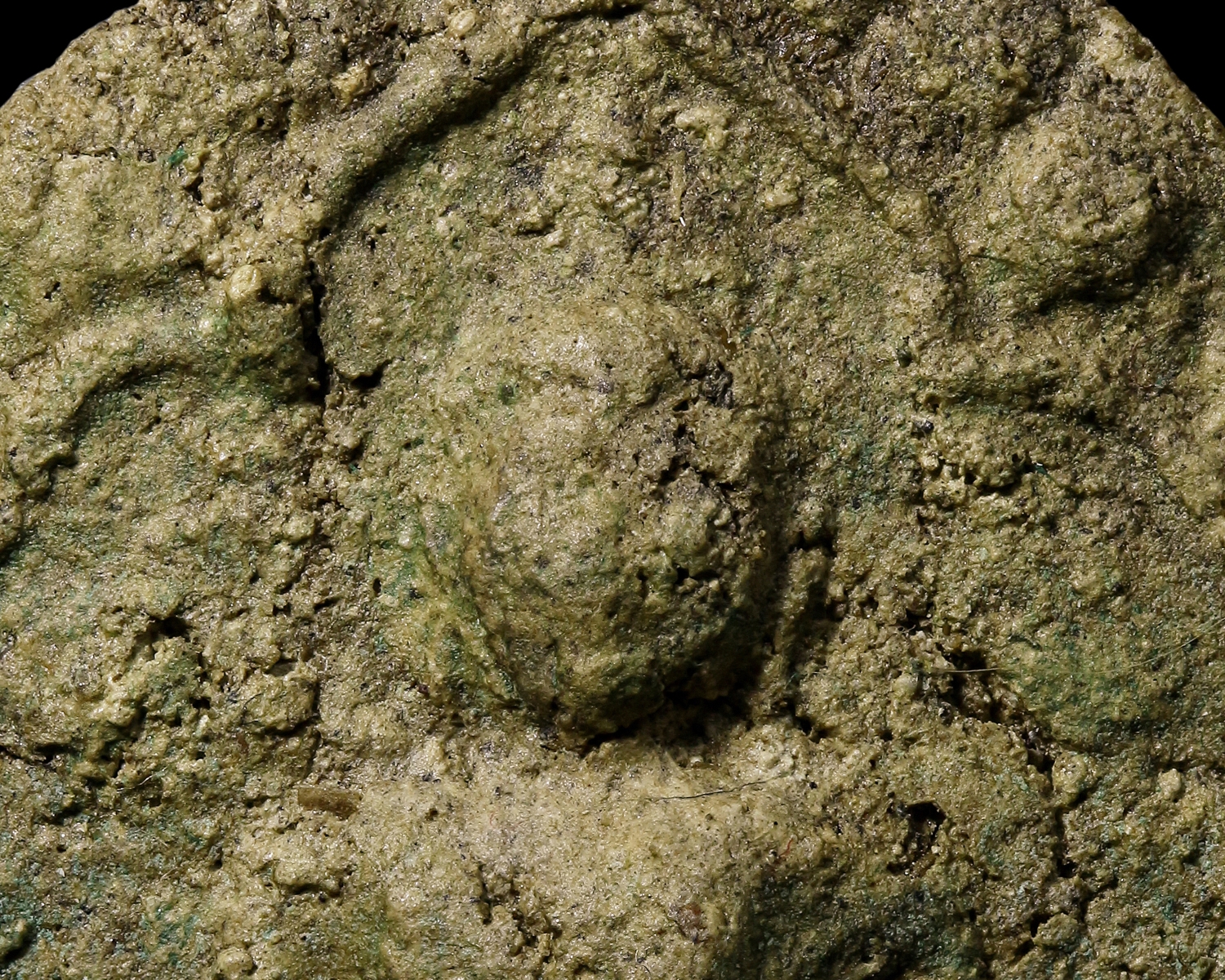 พระผงพรายกุมาร หลวงปู่ทิม วัดละหารไร่ จ.ระยอง (โชว์พระ)