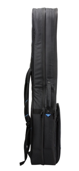 Reunion Blues RBX Double Bass Guitar Gig Bag