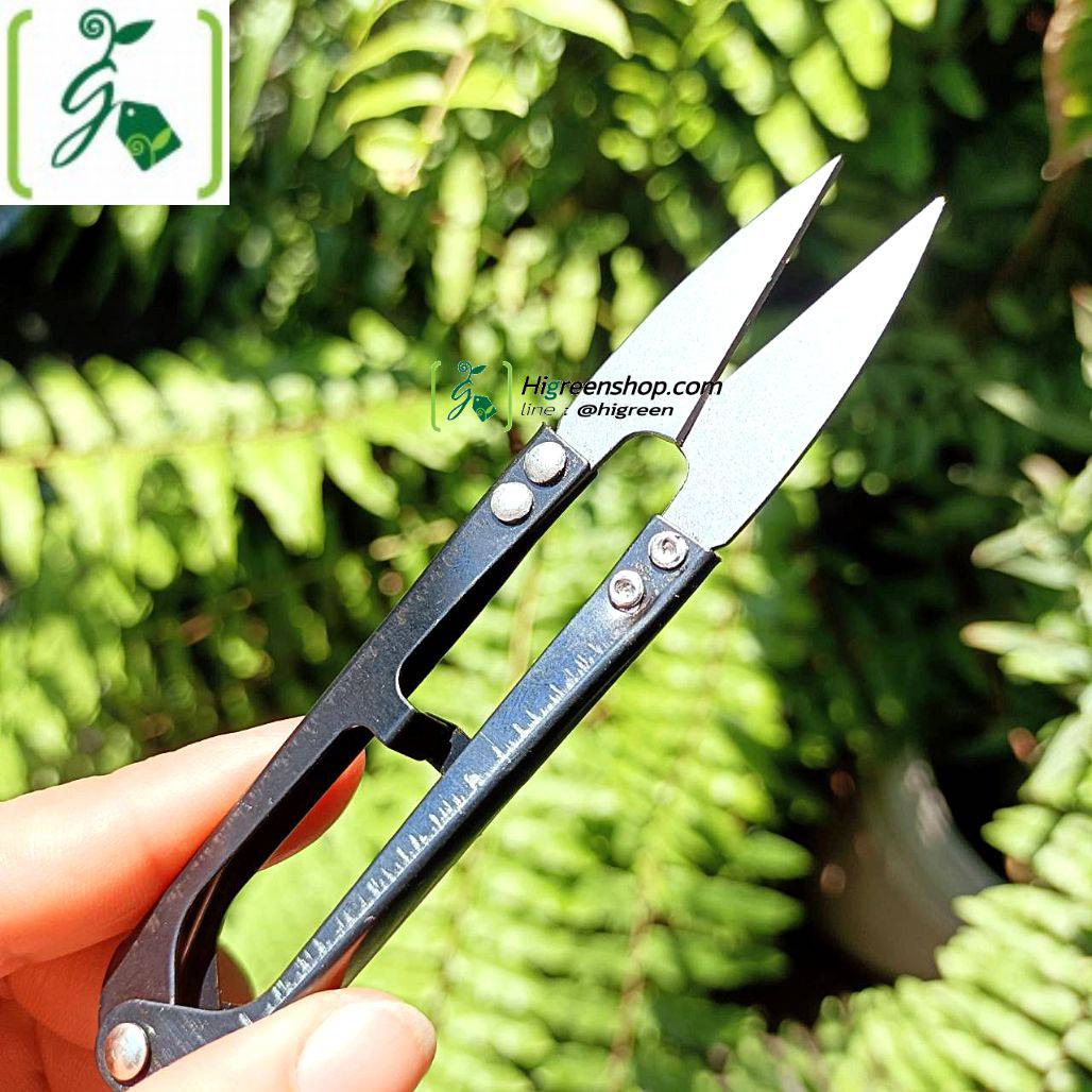 กรรไกรก้ามปู กรรไกรตัดด้าย (คละสี)