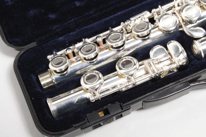 Etude Model EFL-100 Student Flute Closed Hole, Offset G, C Foot