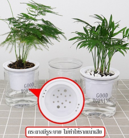 กระถางต้นไม้แบบใส เก็บน้ำได้ รดน้ำอัตโนมัติ กระถาง2ชั้น จำนวน 1 ใบ