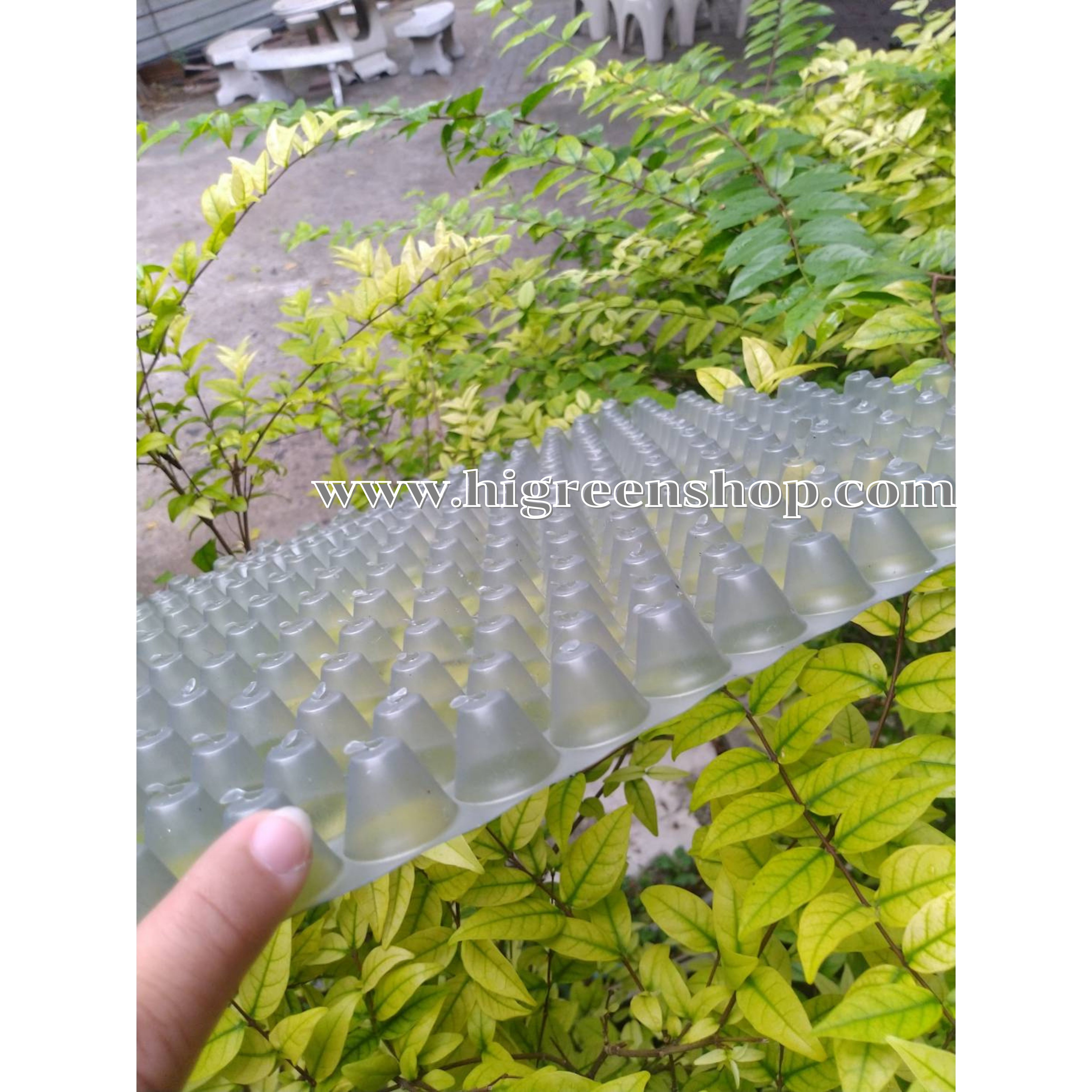 (ยกลัง/500ใบ)ถาดเพาะกล้านาโยน ถาดเพาะข้าว ถาดเพาะชำ ถาดเพาะเมล็ด 434หลุม/ใบ