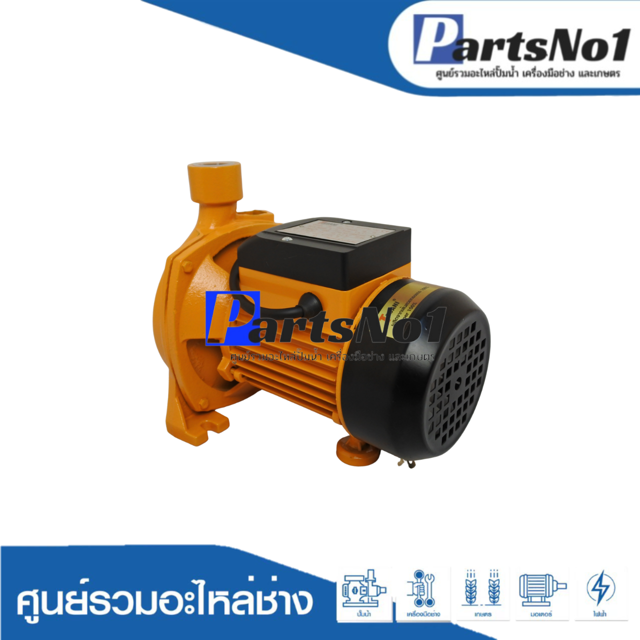 ปั๊มหอยโข่ง TASANI รุ่น SKCPM-130 / 1"x0.5HP ใบพัดใหญ่