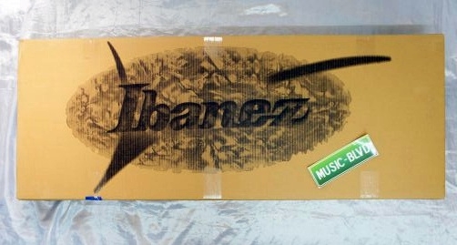 Ibanez Iron label RG Series RGIT20FE Electric Guitar Natural Flat