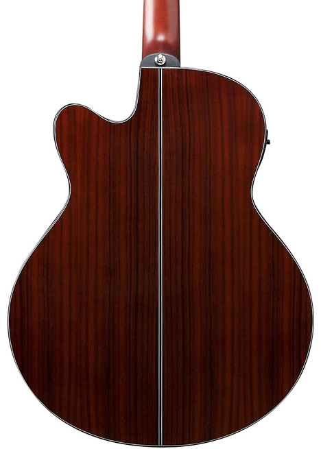 Ibanez AELFF10 AEL Fanned-Fret Acoustic-Electric - Natural