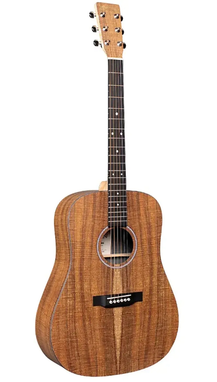 Martin D-X1E Acoustic-Electric Guitar