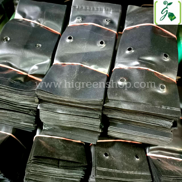 ถุงเพาะชำสีดำ ขนาด 4x8 นิ้ว 30 กก. / กระสอบ