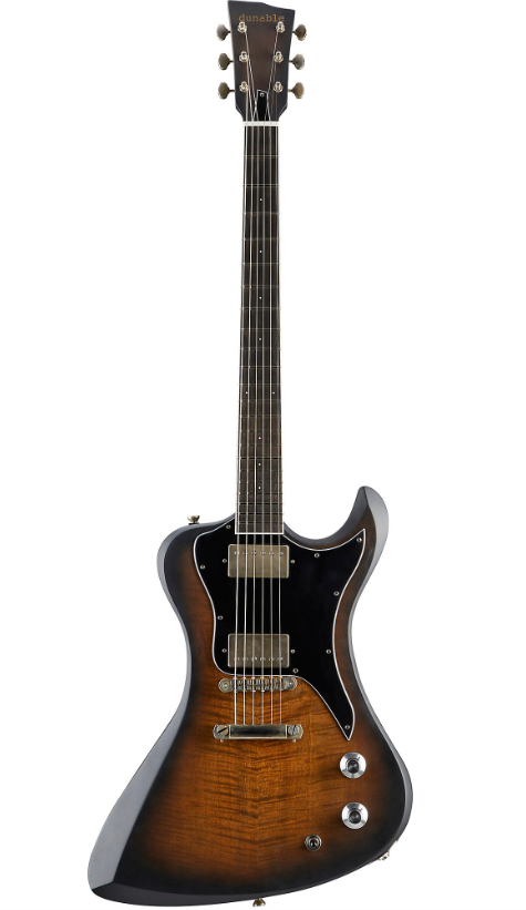 Dunable Guitars R2 Electric Guitar