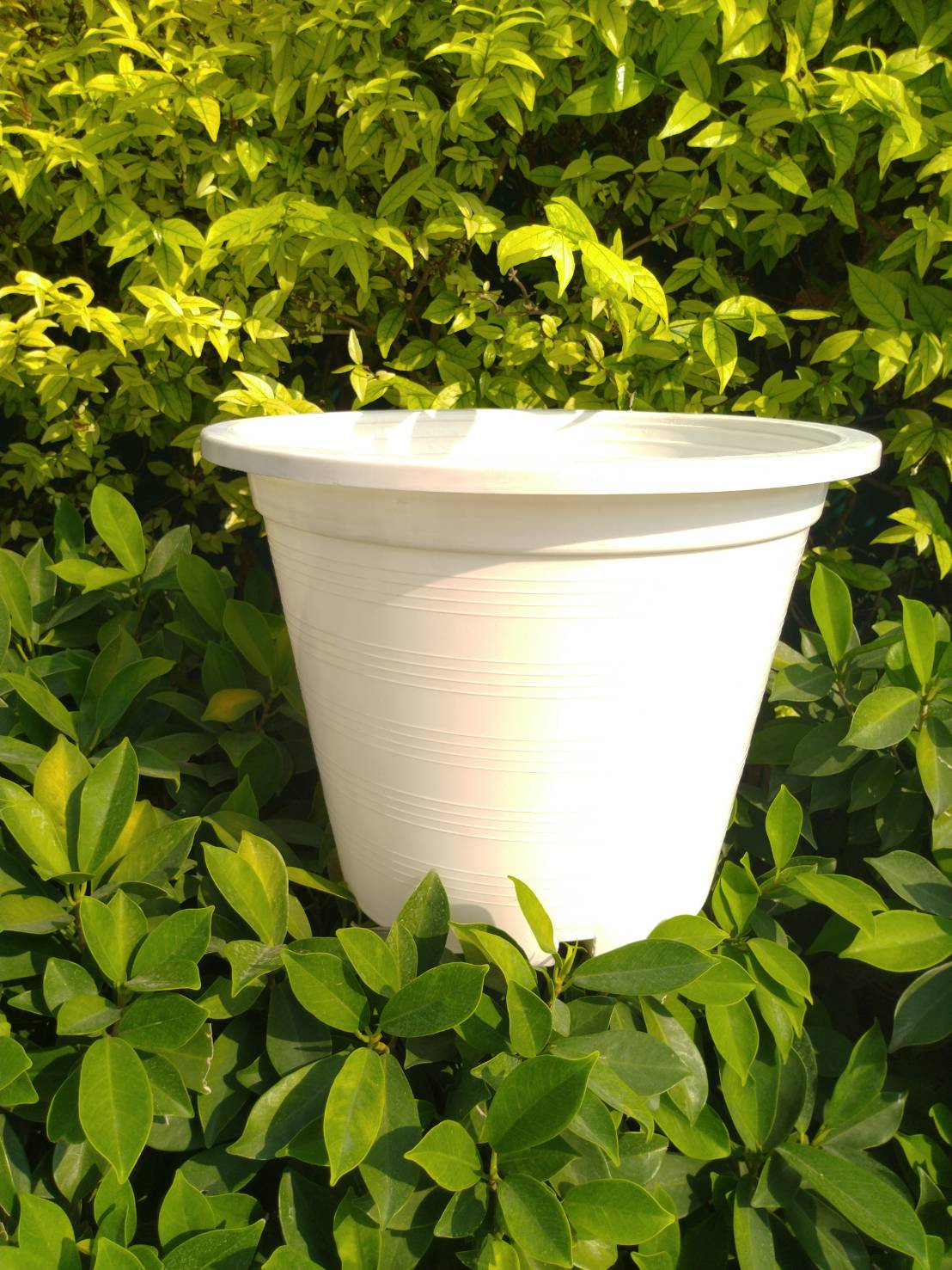 กระถางกลม 12 นิ้ว 1 ใบ (เลือกสีได้)