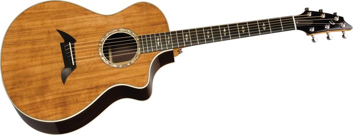 Breedlove Focus SE Special Edition Acoustic-Electric Guitar Natural