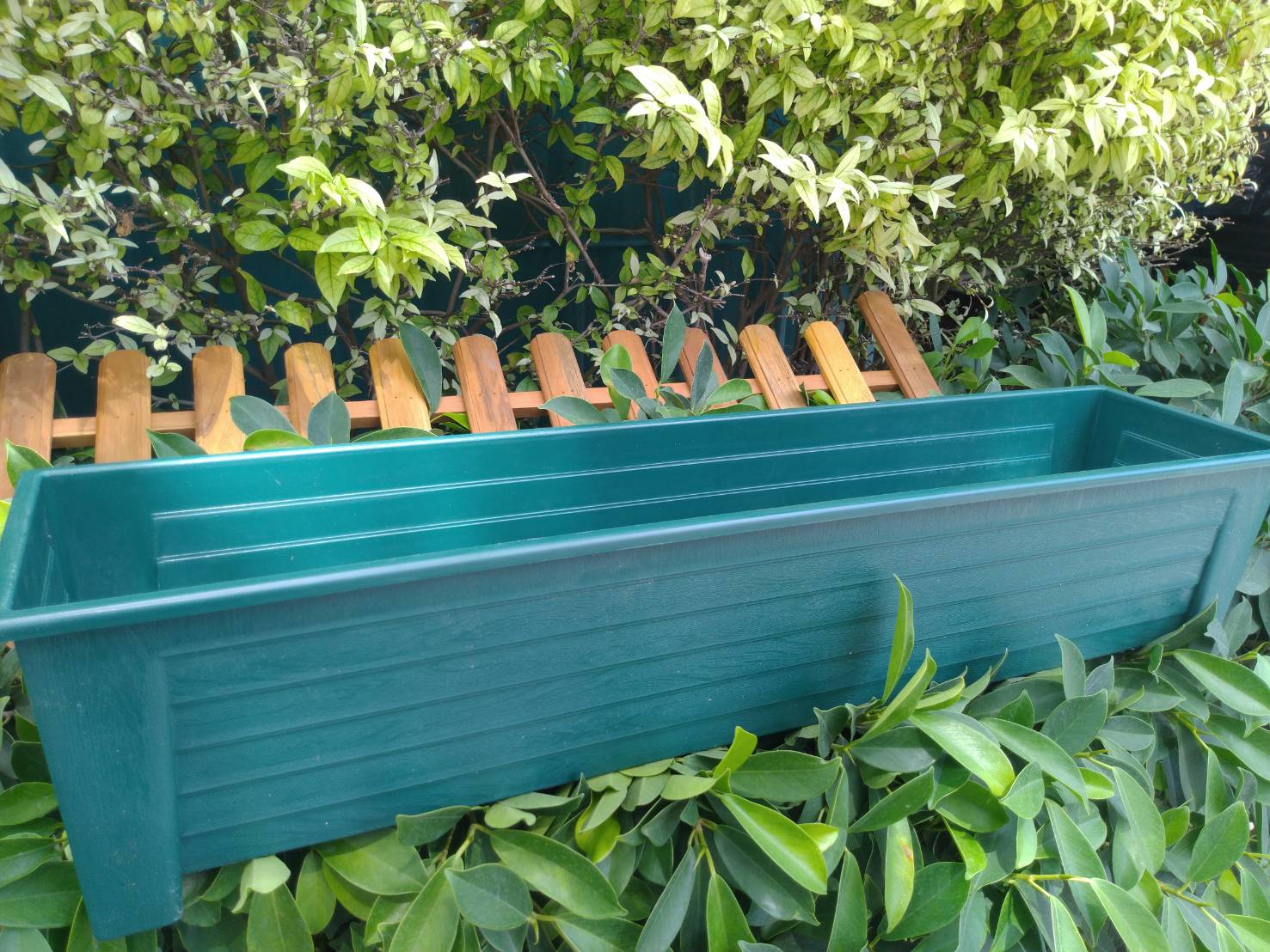 กระถางยาว กระถางปลูกต้นไม้ แบบยาว 1 ใบ (เลือกสีได้)