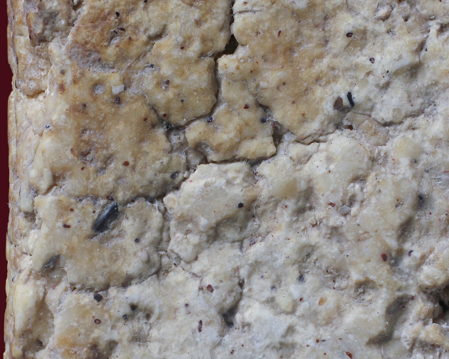 พระสมเด็จวัดระฆัง พิมพ์ฐานแซม