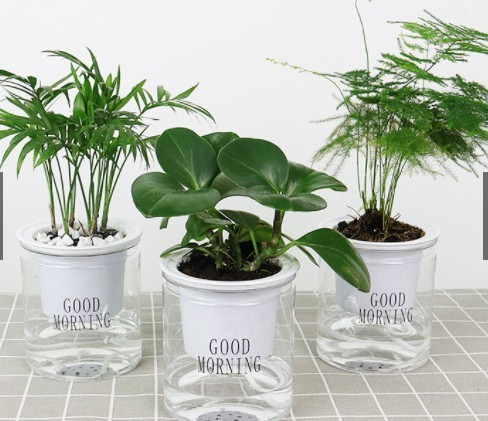 กระถางต้นไม้แบบใส เก็บน้ำได้ รดน้ำอัตโนมัติ กระถาง2ชั้น จำนวน 1 ใบ