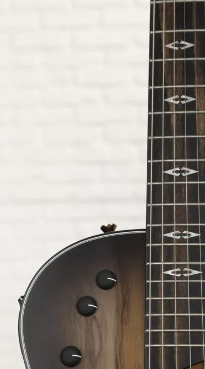 Taylor T5z Custom Sassafras - Transparent Black with Special Ebony Fingerboard