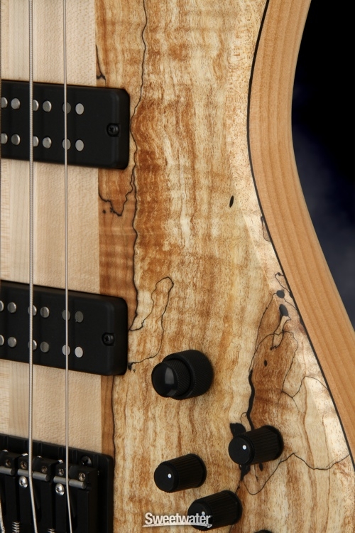 Fodera Emperor 5 Standard Special - Limited Run, Spalted Maple