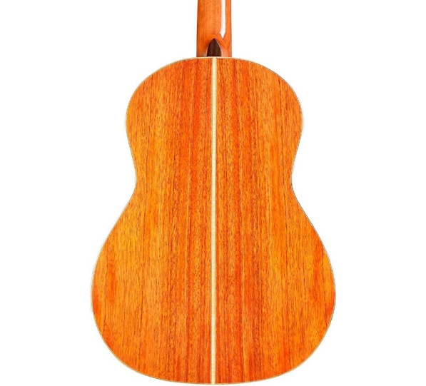 Cordoba Leona 9-E Acoustic-Electric Guitar - Natural