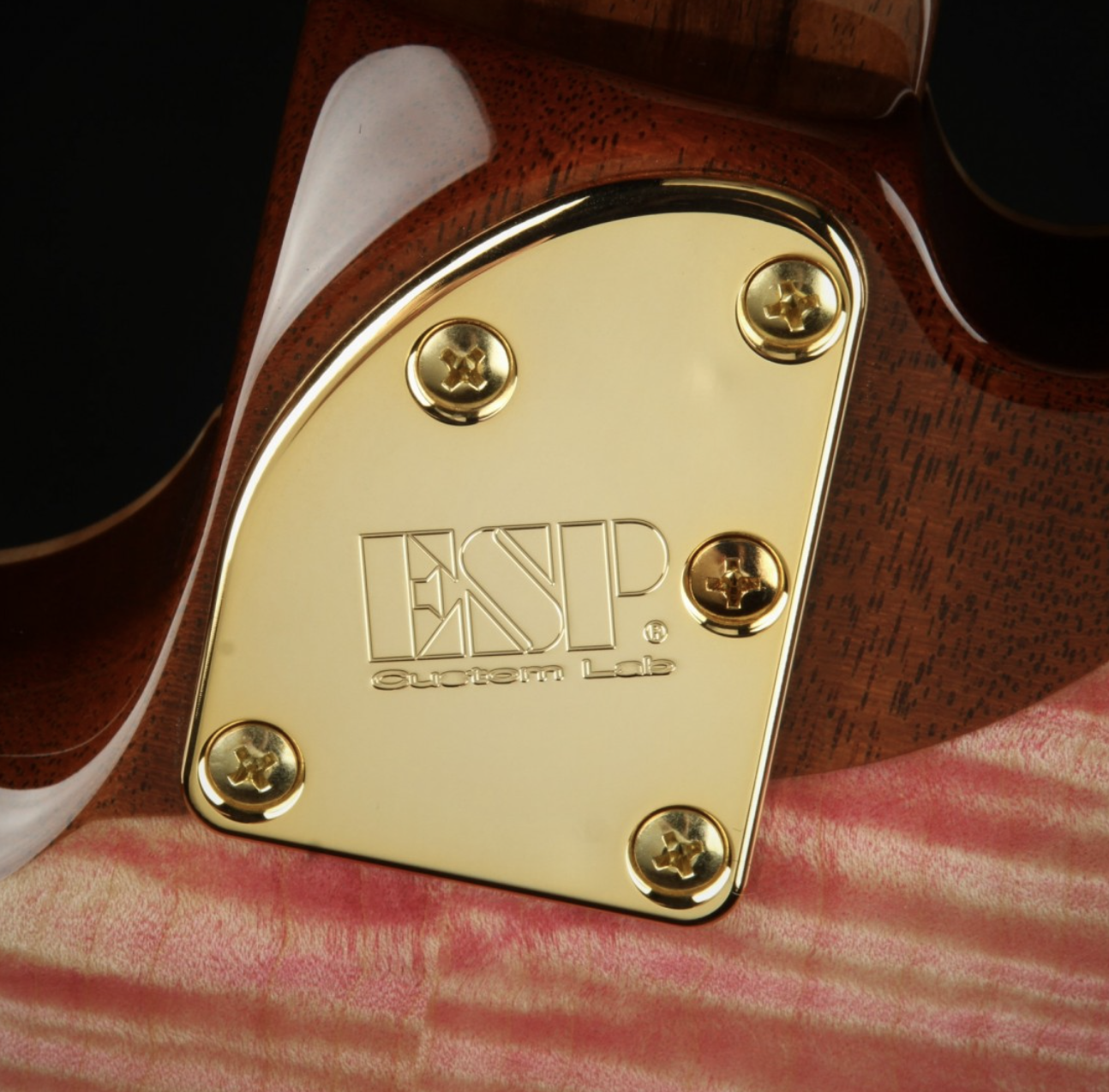 ESP Exhibition Limited 2021 EX21-08 Throbber-CTM - Pink/Turquoise Fade