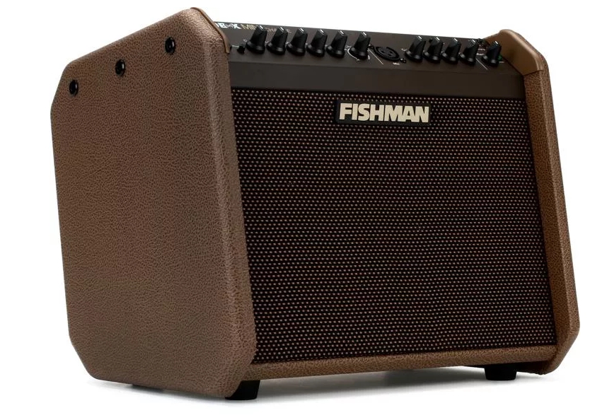 Fishman Loudbox Mini Charge 60-watt 1x6.5 Battery Powered Acoustic Combo Amp