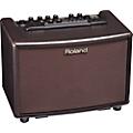 Roland AC-40 Acoustic Guitar Amplifier