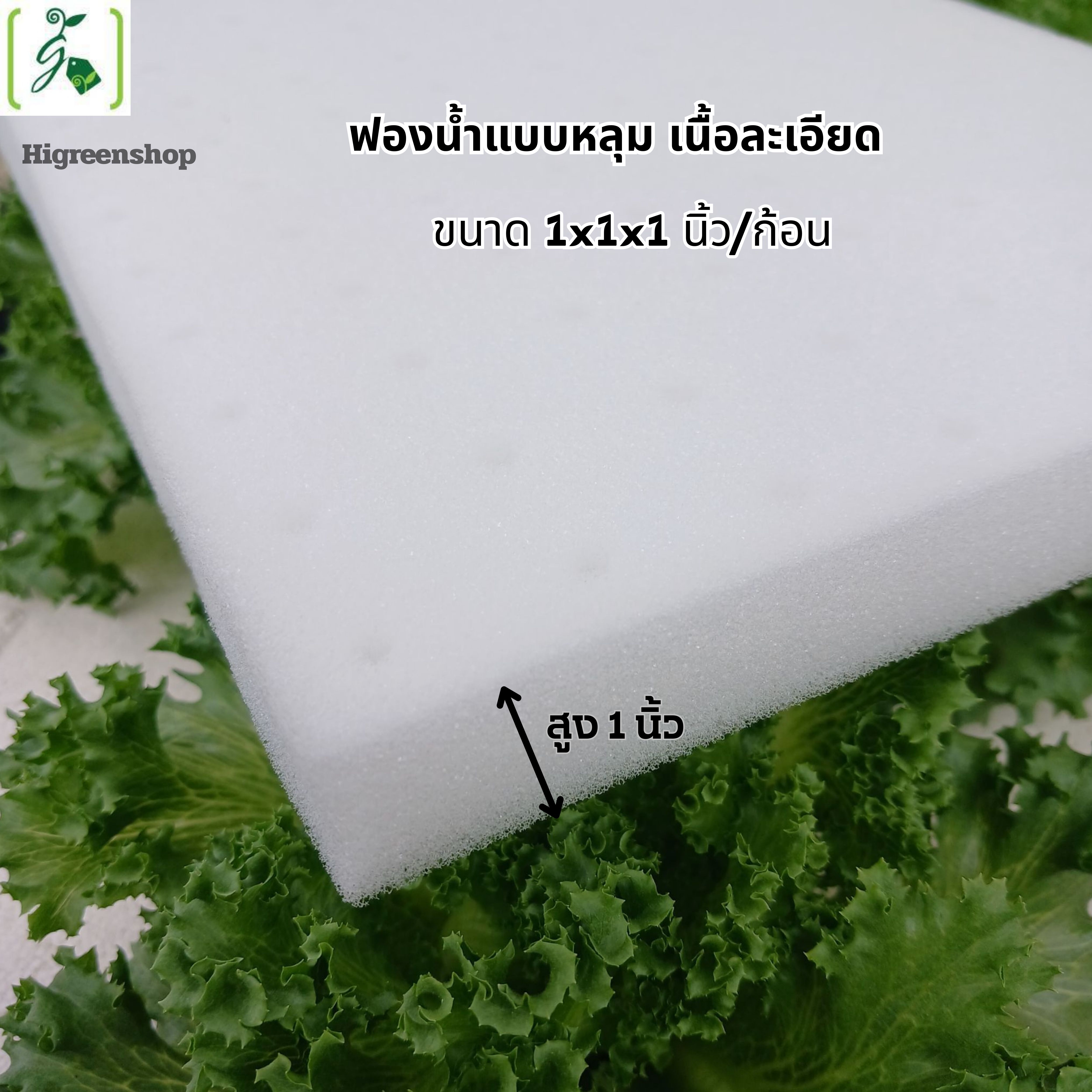 ฟองน้ำแบบหลุม เนื้อละเอียด ขนาด 1x1x1 นิ้ว (99 ช่องปลูก / แผ่น)จำนวน 1 แผ่น