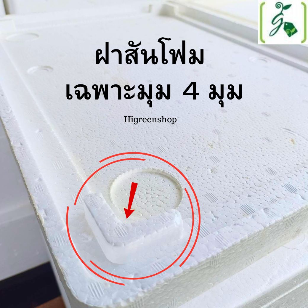 ฝากล่องกุ้ง (เฉพาะฝา) ฝามือ 2 ผ่านการใช้งาน มี 2 รุ่นให้เลือก เลือกเจาะรูได้