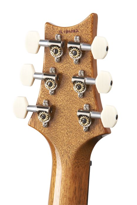 PRS DGT Standard with Birds Electric Guitar