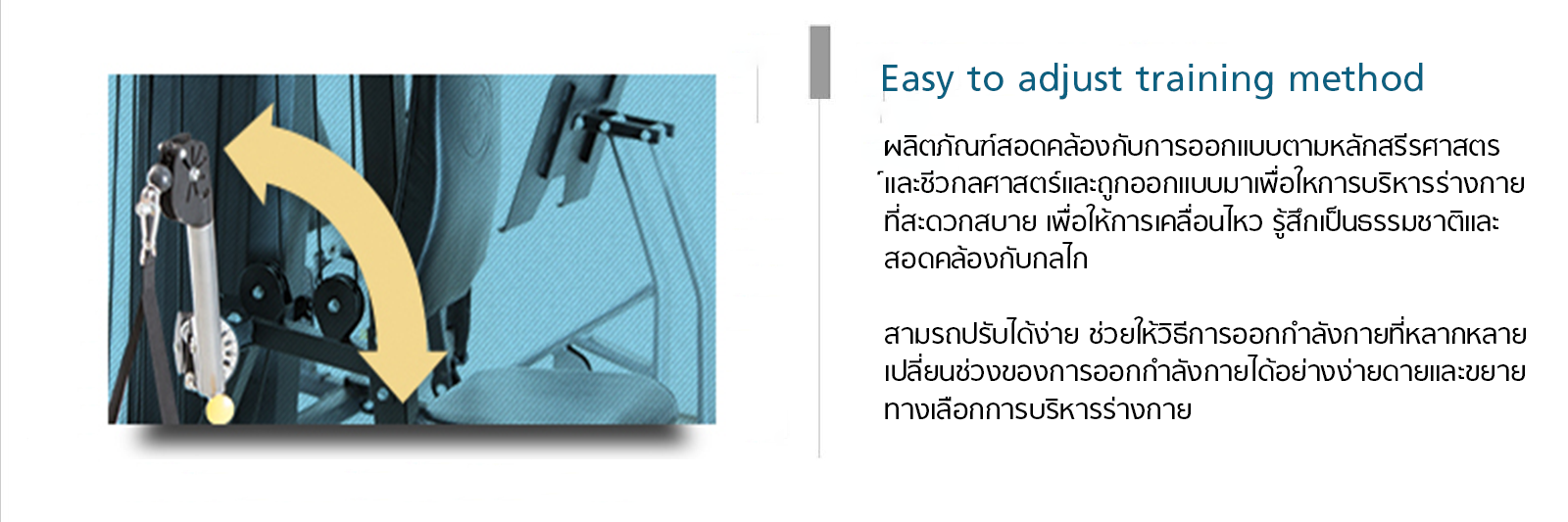 ชุดยิม Horizon Multi-station TORUS 5