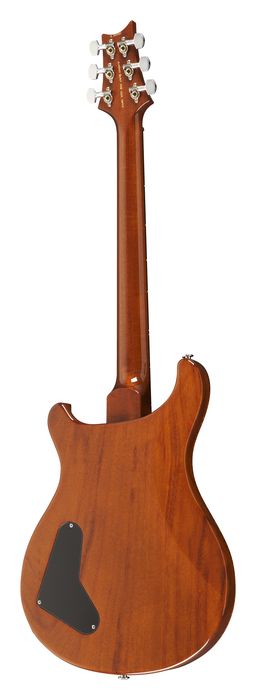 PRS Paul's Guitar "Dirty" Artist Figured Top