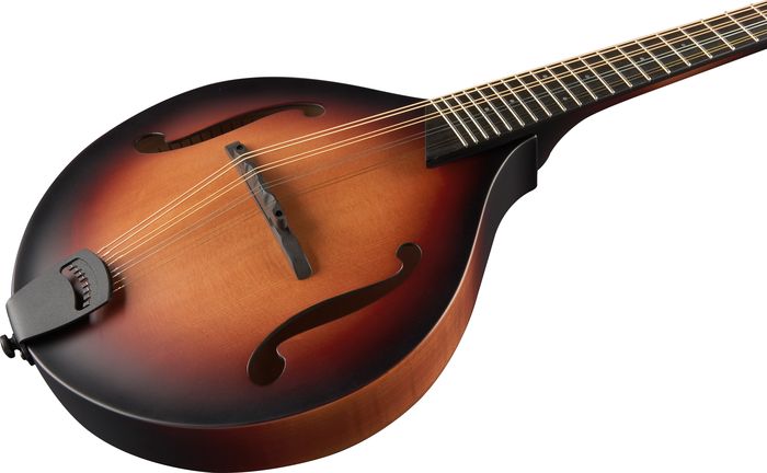 Breedlove American Series OF Mandolin