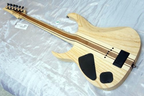 Ibanez Iron label RG Series RGIT20FE Electric Guitar Natural Flat