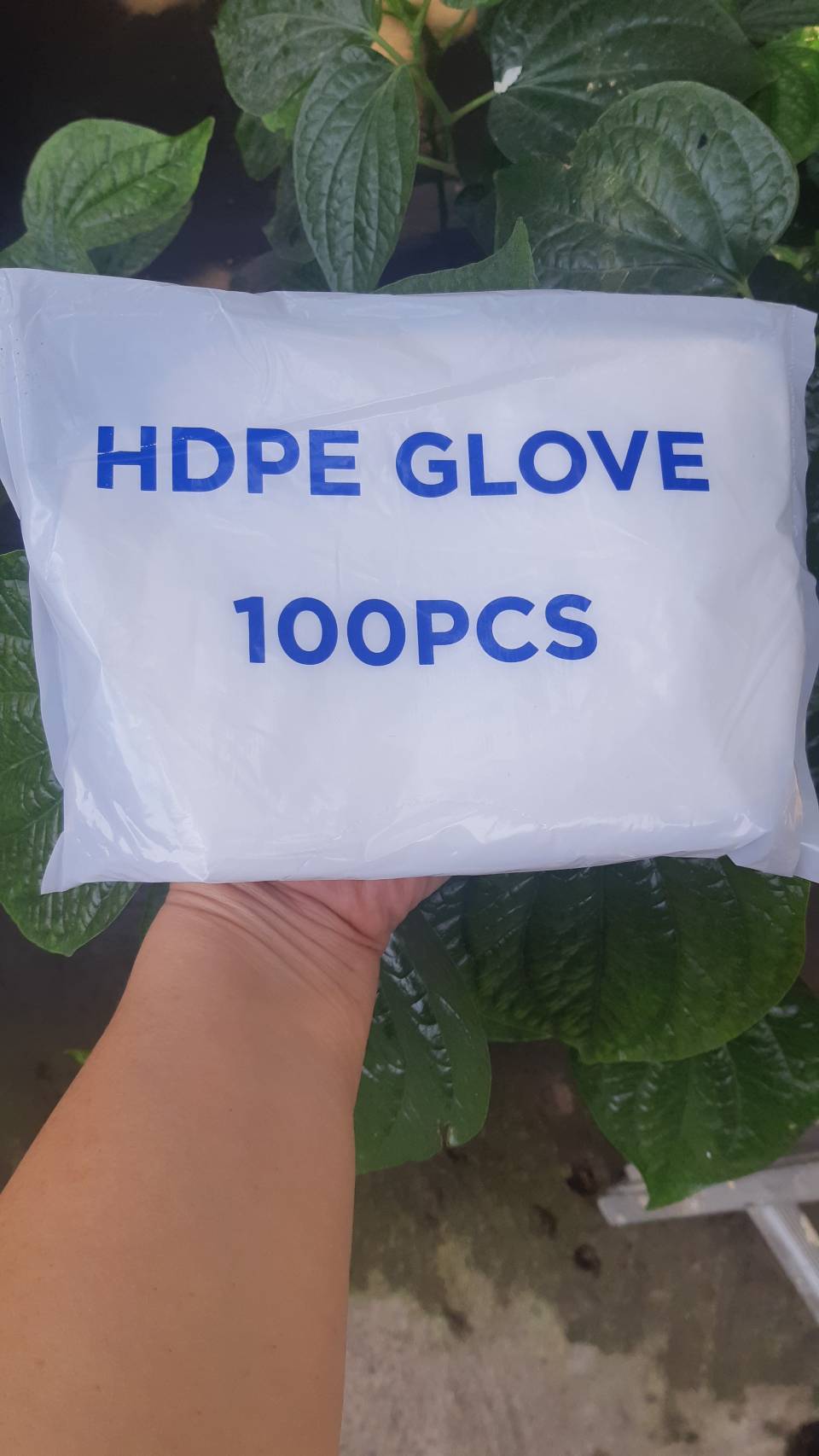 ถุงมือพลาสติก HDPE GLOVE 100 ชิ้น/แพ็ค