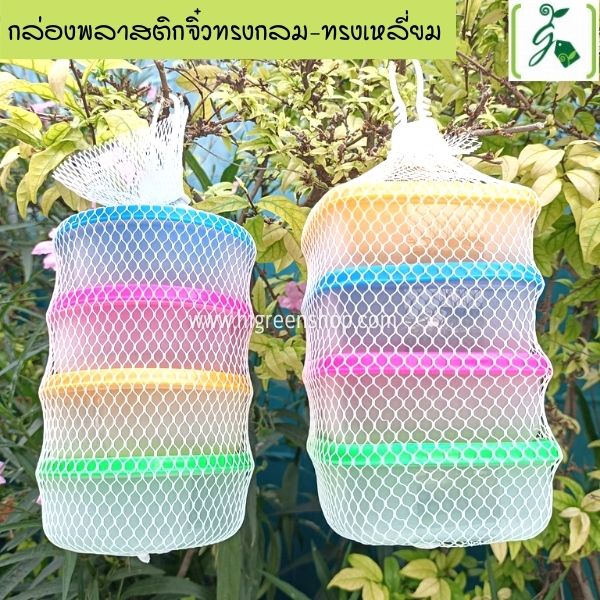 กล่องพลาสติกจิ๋ว (เหลี่ยม 4 ชิ้น + กลม 4 ชิ้น / ชุด)