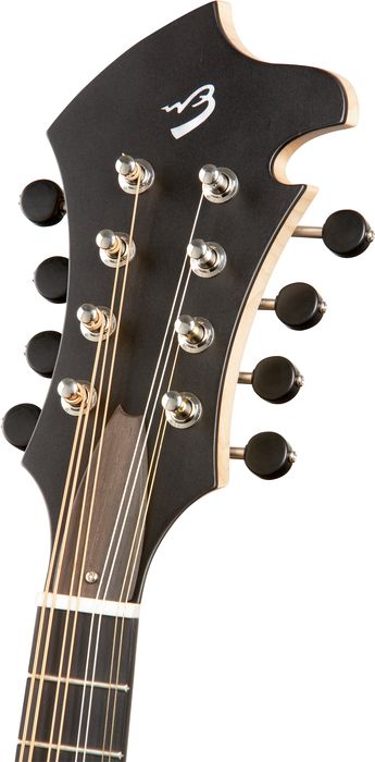 Breedlove American Series FO Mandolin Natural