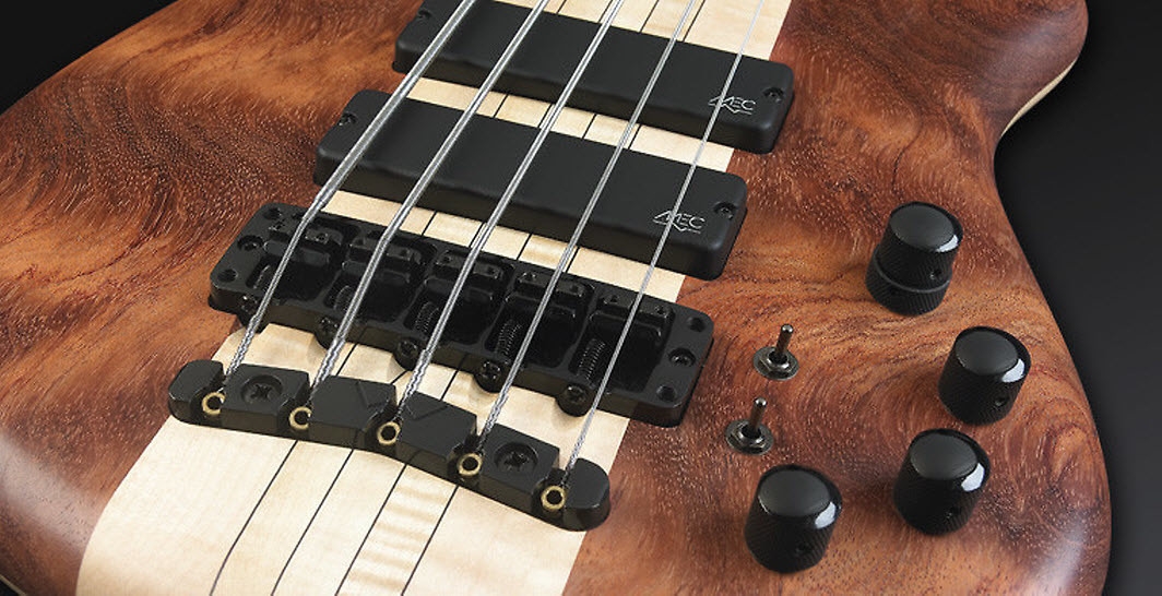 Warwick Custom Shop Thumb SC 5-String Electric Bass